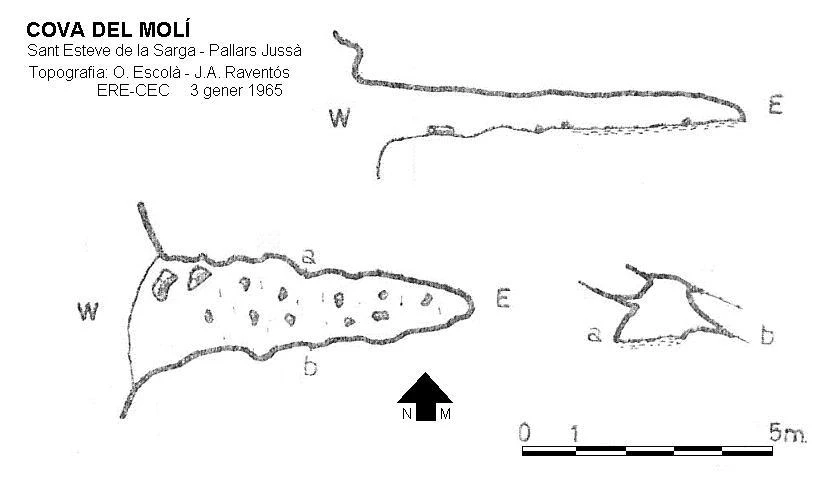 Topografia de Cova del Molí
