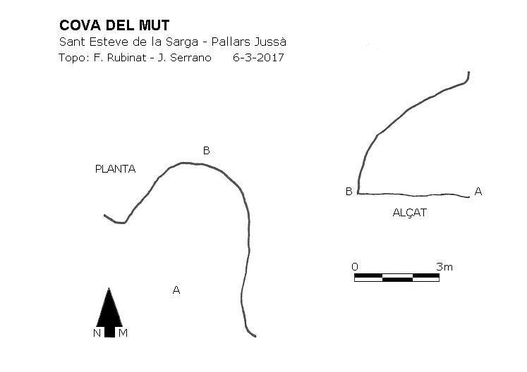 Survey of Cova del Mut