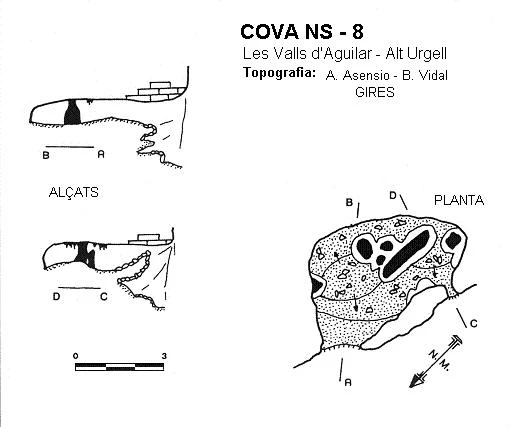 Topografia de Cova NS-8