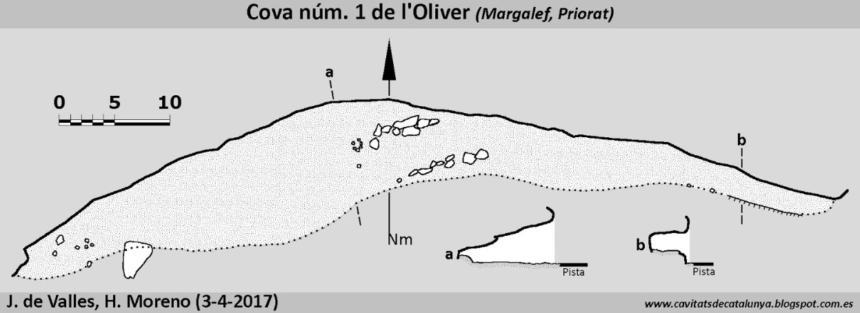 Topografia de Cova Nº1 de l'Oliver