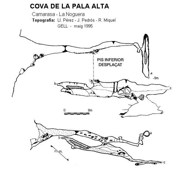 Topografia de Cova de la Pala Alta
