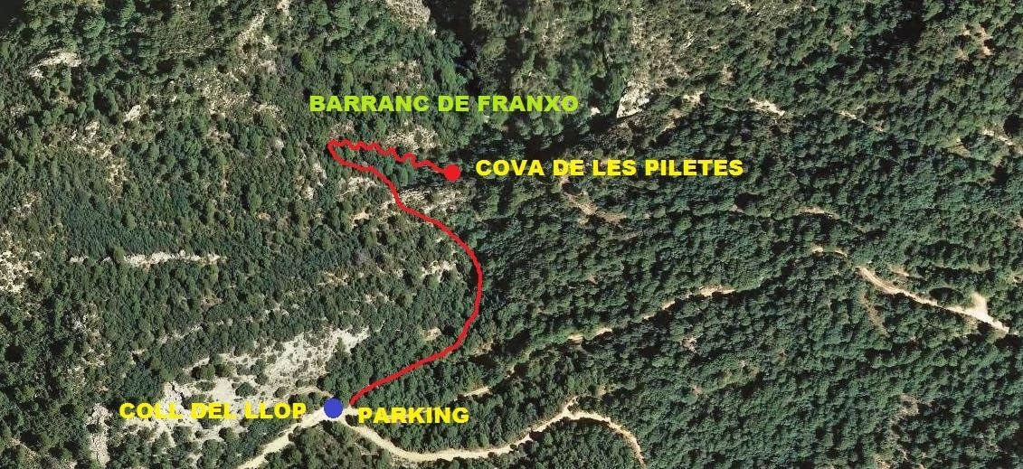 Topografia de Cova de les Piletes