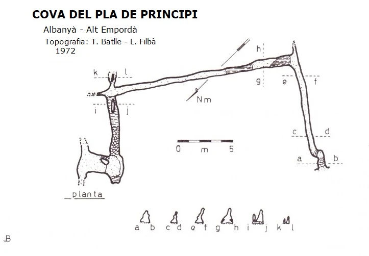 Topografía de Cova del Pla de Principi