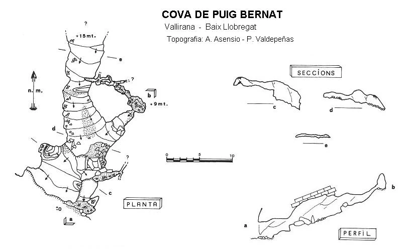 Topografía de Cova de Puig Bernat