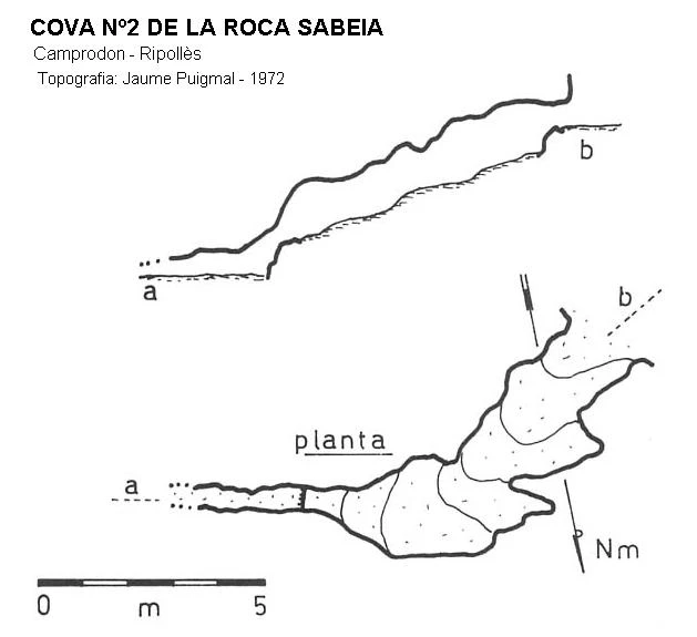 Topografía de Cova Nº2 de la Roca Sabeia