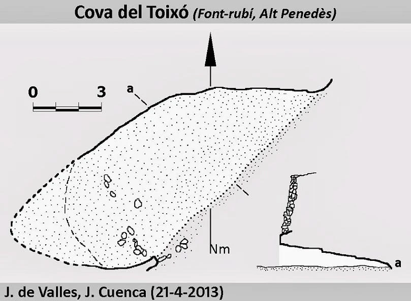 Survey of Cova del Toixó