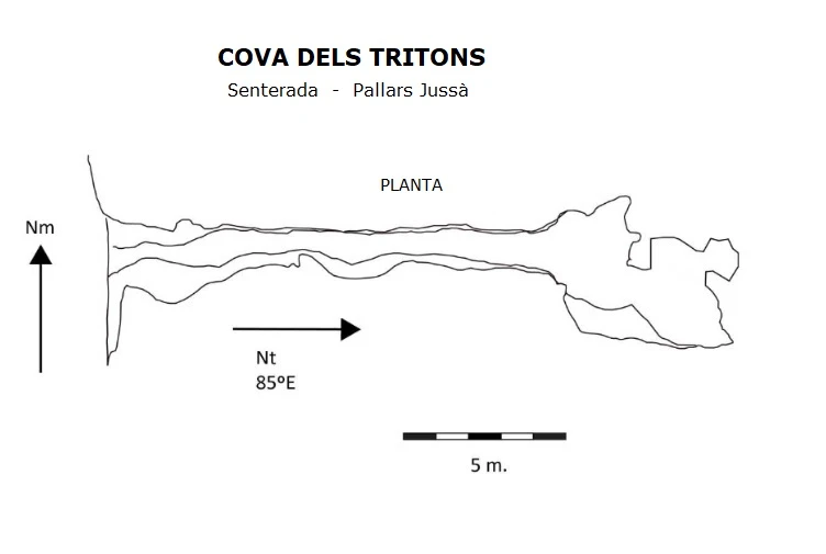 Topografia de Cova dels Tritons