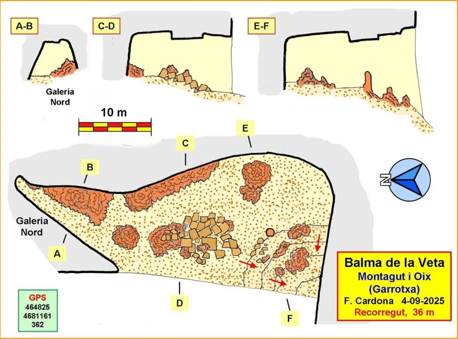 Topografia de Bauma de la Veta