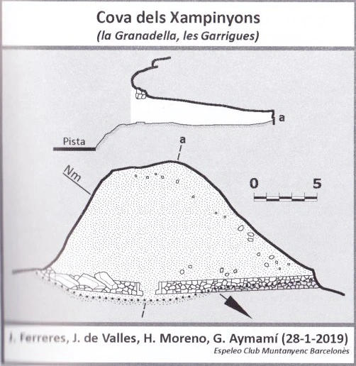 Topografia de Cova dels Xampinyons