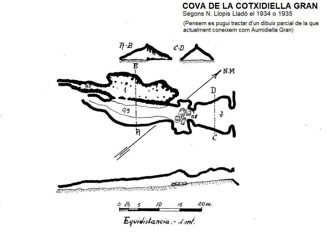Survey of AUMIDIELLA GRAN, COVA DE L' (2 of 2)