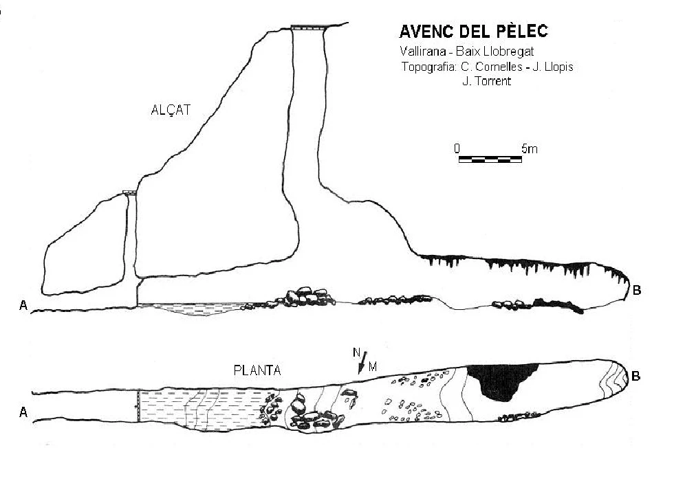Topografía de PÈLEC, AVENC DEL (2 de 2)