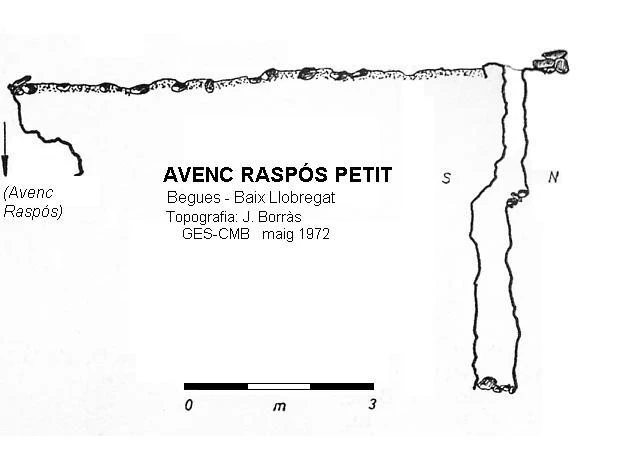 Survey of RASPÓS PETIT, AVENC (1 of 1)