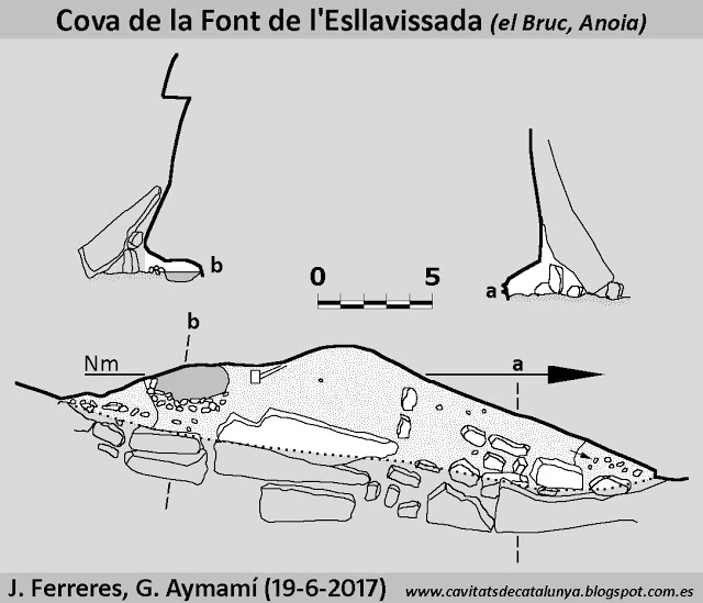 Topografia de FONT DE L'ESLLAVISSADA, COVA DE LA (1 de 1)