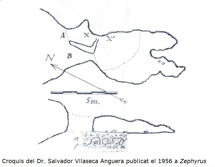Survey of BOSQUET, COVA DEL (1 of 1)