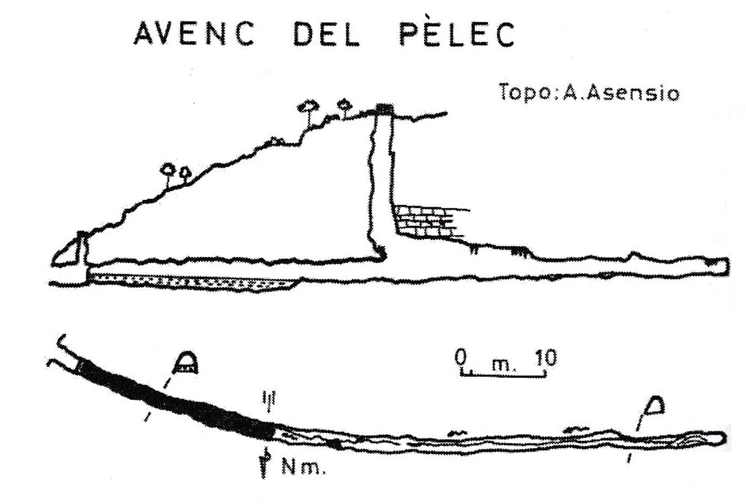Topografía de PÈLEC, AVENC DEL (1 de 2)