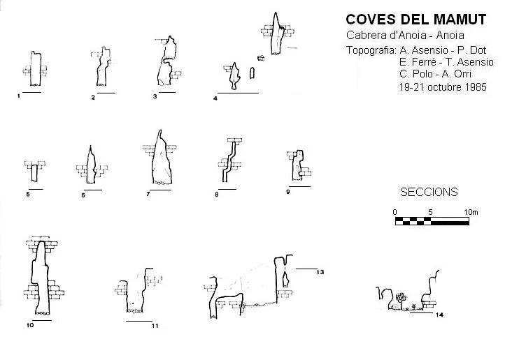 Survey of MAMUT, COVES DEL (2 of 3)