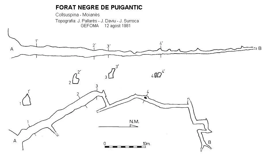 Topografía de NEGRE DE PUIGANTIC, FORAT (1 de 1)