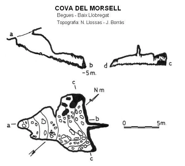 Topografia de MORSELL, COVA DEL (1 de 1)