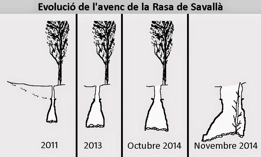 Topografia de RASA DE SAVALLÀ, AVENC DE LA (1 de 1)
