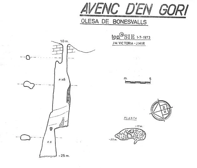 Survey of GORI, AVENC D'EN (1 of 1)