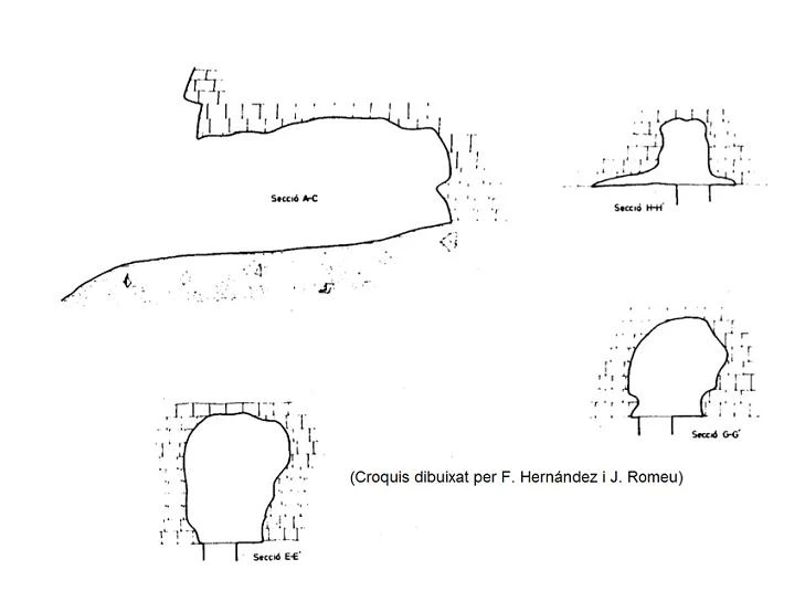 Topografía de BRUIXES, COVA DE LES (1 de 1)