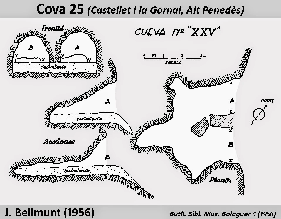 Topographie de VINT-I-CINC, COVA (1 sur 1)