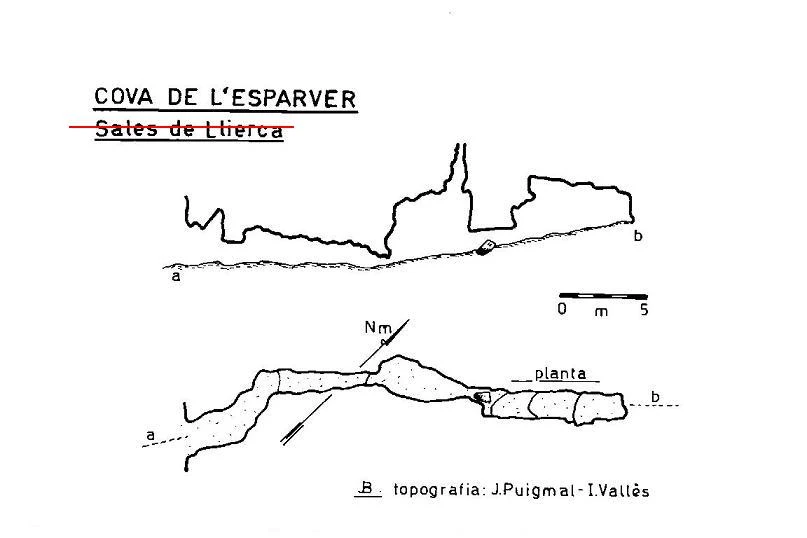 Survey of ESPARVER, COVA DE L' (1 of 1)