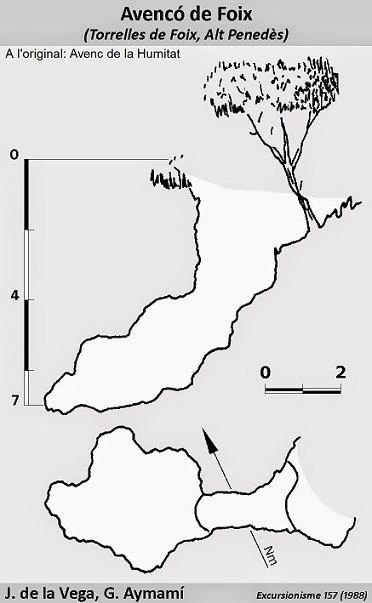 Topografia de FOIX, AVENCÓ DE (1 de 2)