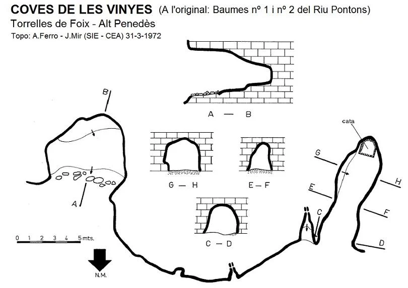 Topografia de VINYES, COVES DE LES (1 de 1)