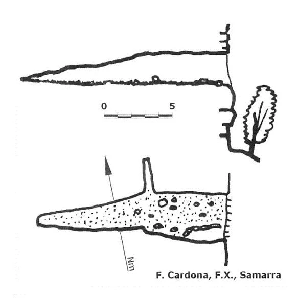 Topografia de AFRAU, COVA II DE L' (1 de 1)