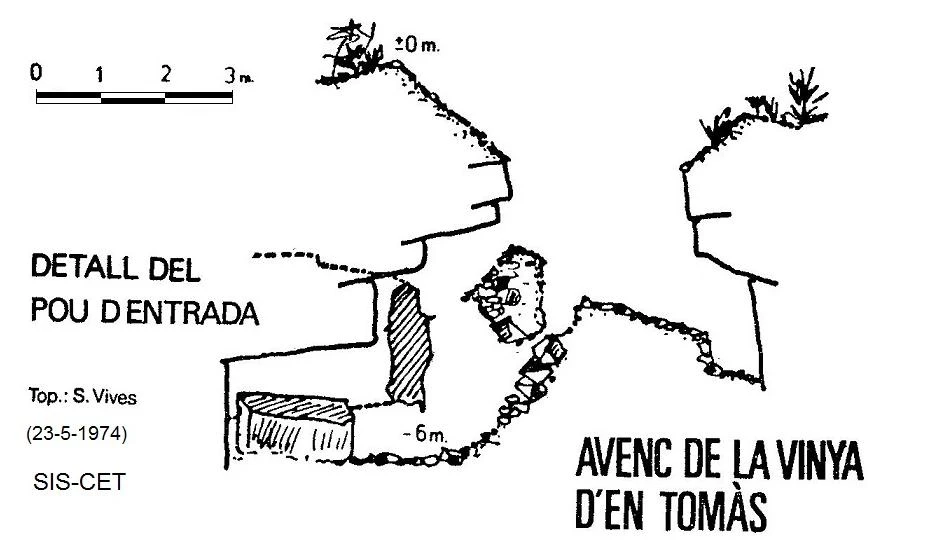 Topografia de VINYA D'EN TOMÀS, AVENC DE LA (1 de 2)