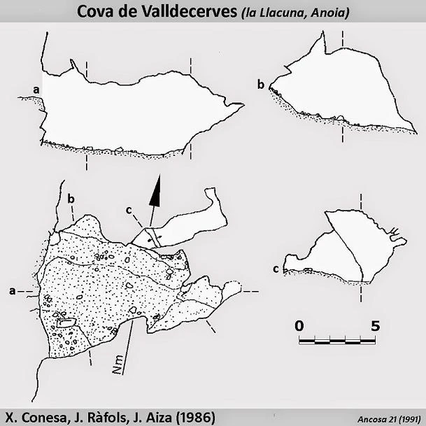 Survey of VALLDECERVES, COVA DE (1 of 1)