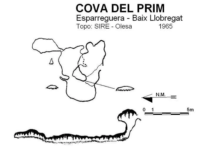 Topographie de PRIM, COVA DEL (1 sur 1)