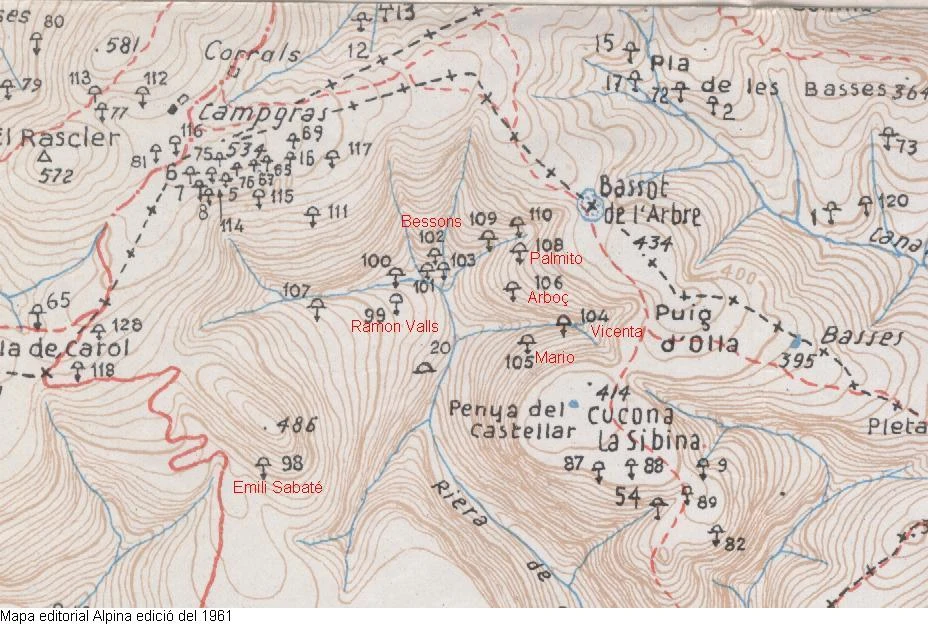 Topografia de PALMITO, AVENC DEL (1 de 1)