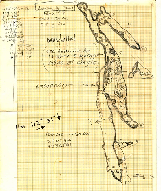 Survey of AUMIDIELLA GRAN, COVA DE L' (1 of 2)