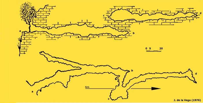 Topografia de LLENES, COVA DE LES (1 de 2)