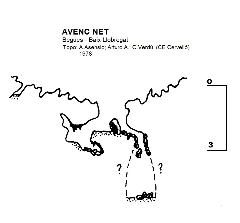 Survey of NET, AVENC (1 of 1)
