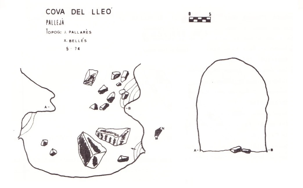 Topografía de LLEÓ, COVA DEL (1 de 1)