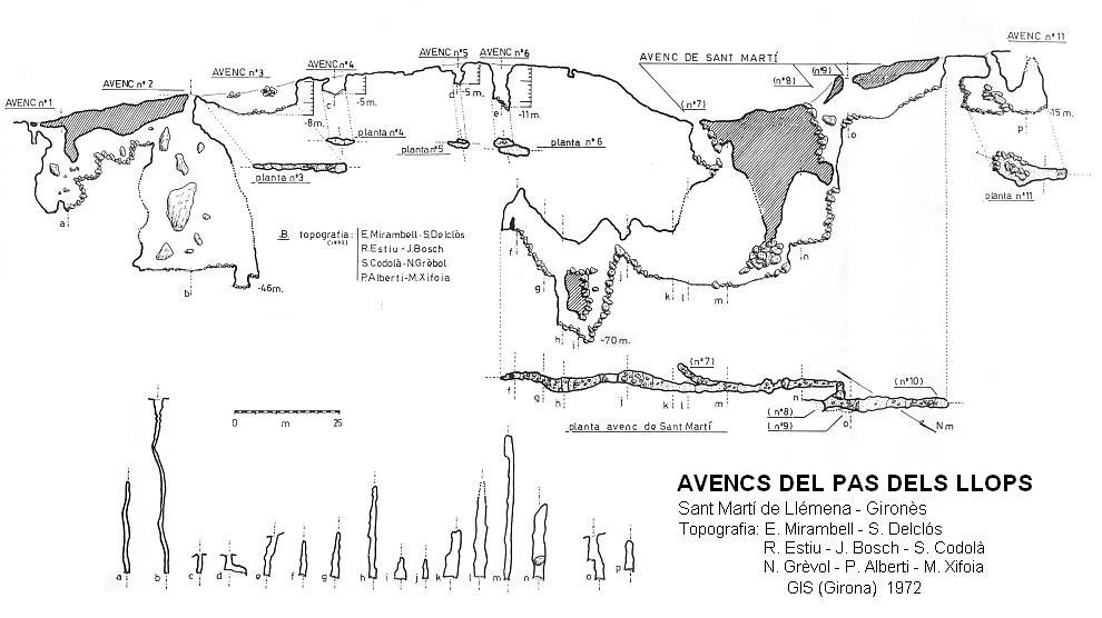 Survey of PAS DELS LLOPS, AVENCS Nº1 I 2 DEL (1 of 1)