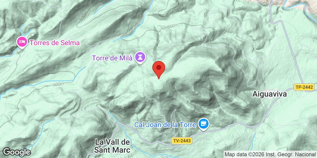 Mapa de situación de PLANA DE LA TORRE, AVENC DE LA