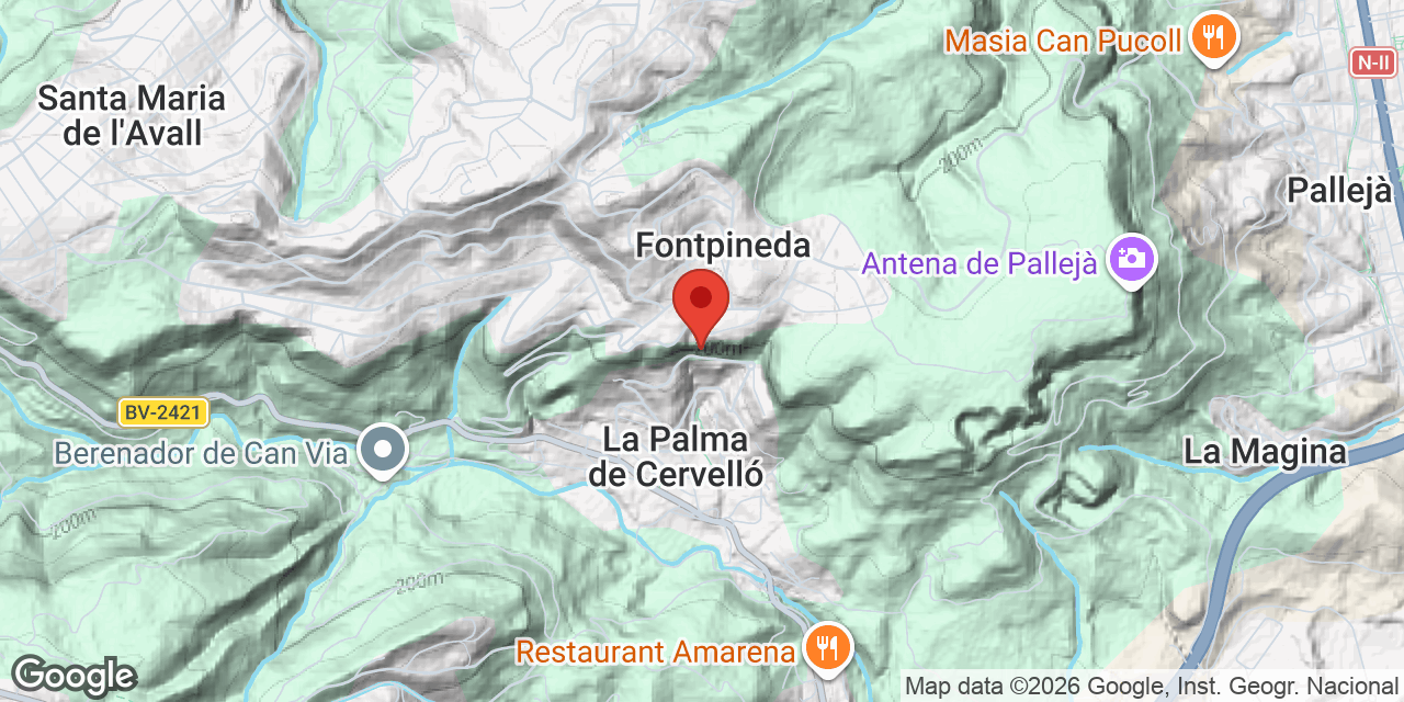 Mapa de situación de PALMERA, FORAT DE LA