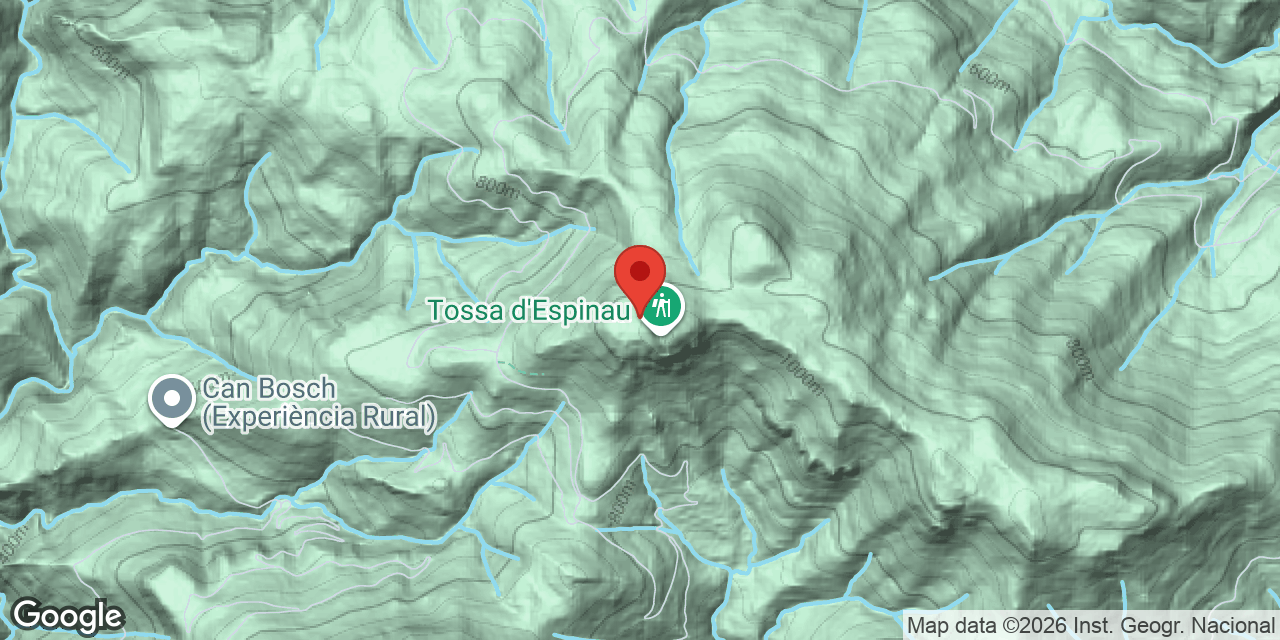 Carte de situation de TOSSA D'ESPINAU Nº4, FORAT DE LA
