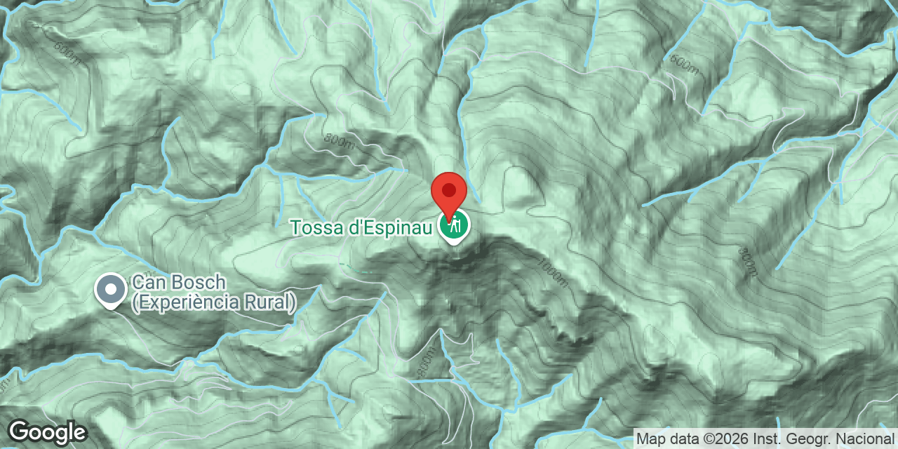 Mapa de situació de TOSSA D'ESPINAU Nº2, FORAT DE LA