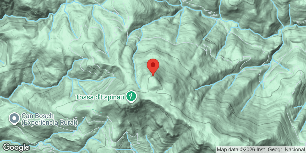 Mapa de situació de BAGA DEL GINEBRET 11, FORAT DE LA