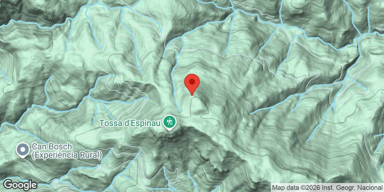 Mapa de situació de BAGA DEL GINEBRET 10, FORAT DE LA