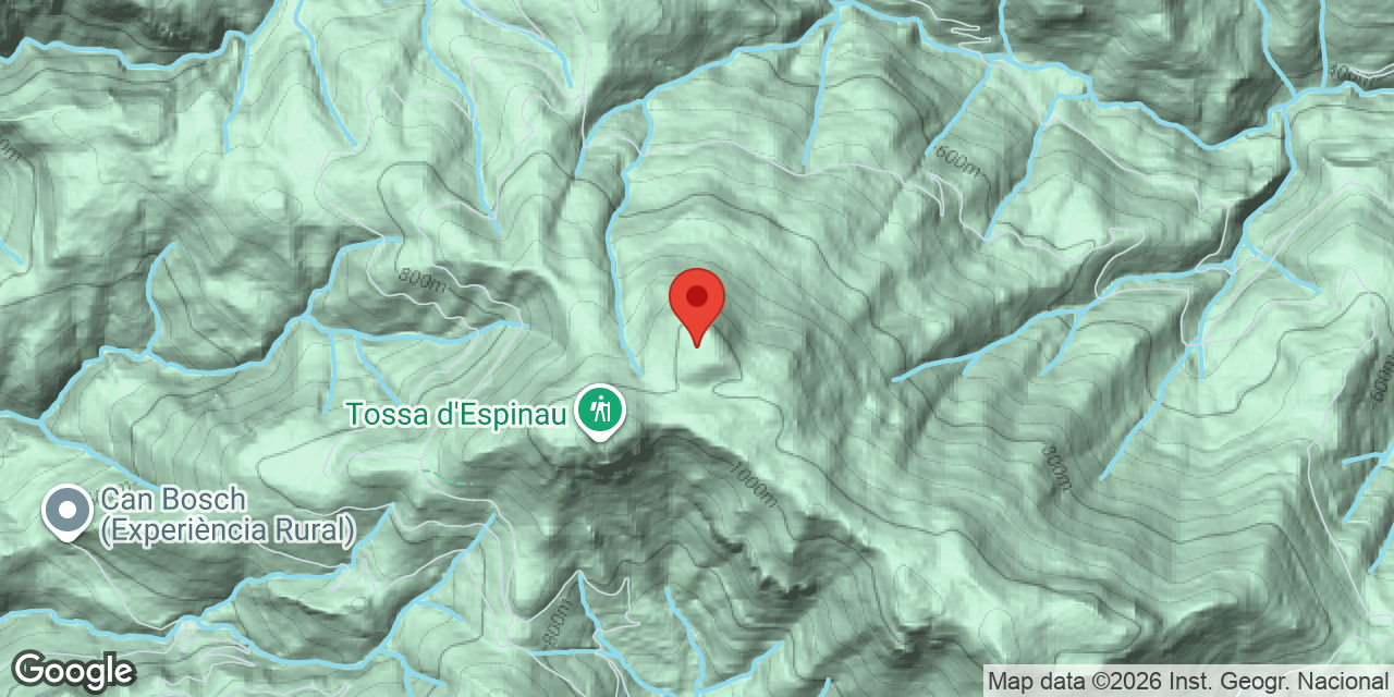 Mapa de situació de BAGA DEL GINEBRET 9, FORAT DE LA