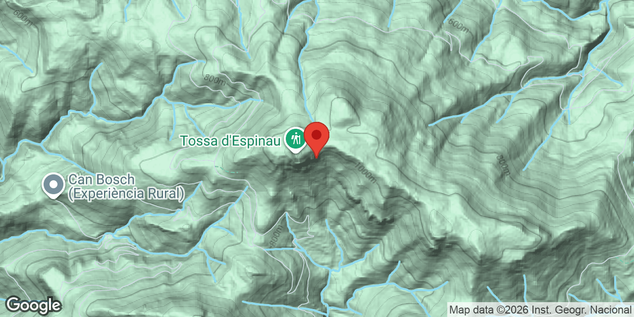 Mapa de situación de CINGLES DE LA TOSSA D'ESPINAU, BAUMA Nº2 DELS