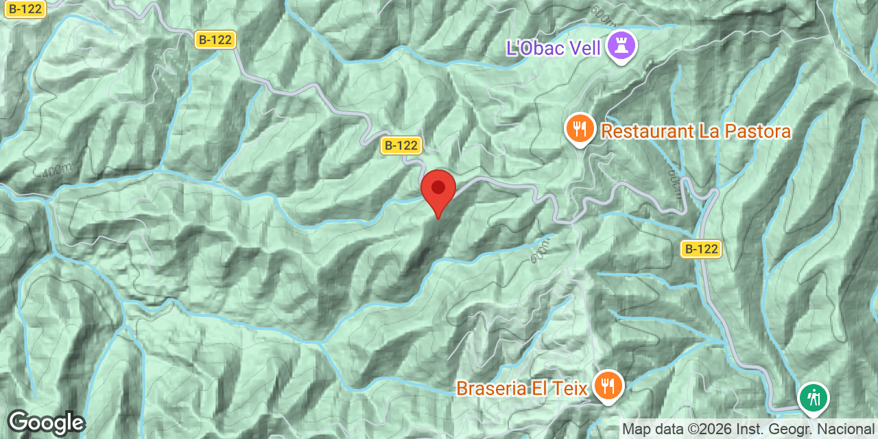 Mapa de situació de ALZINA TERESA, AVENC D'