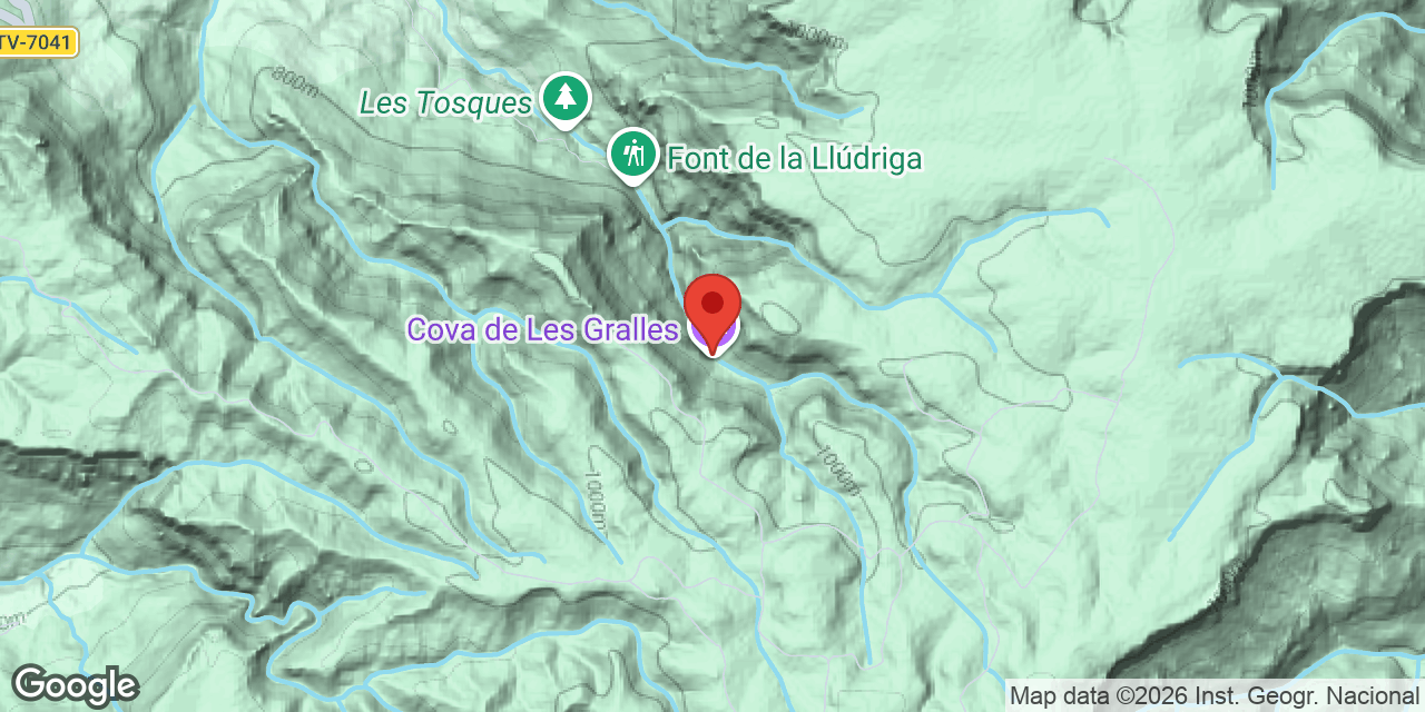 Mapa de situació de GRALLES, COVA DE LES