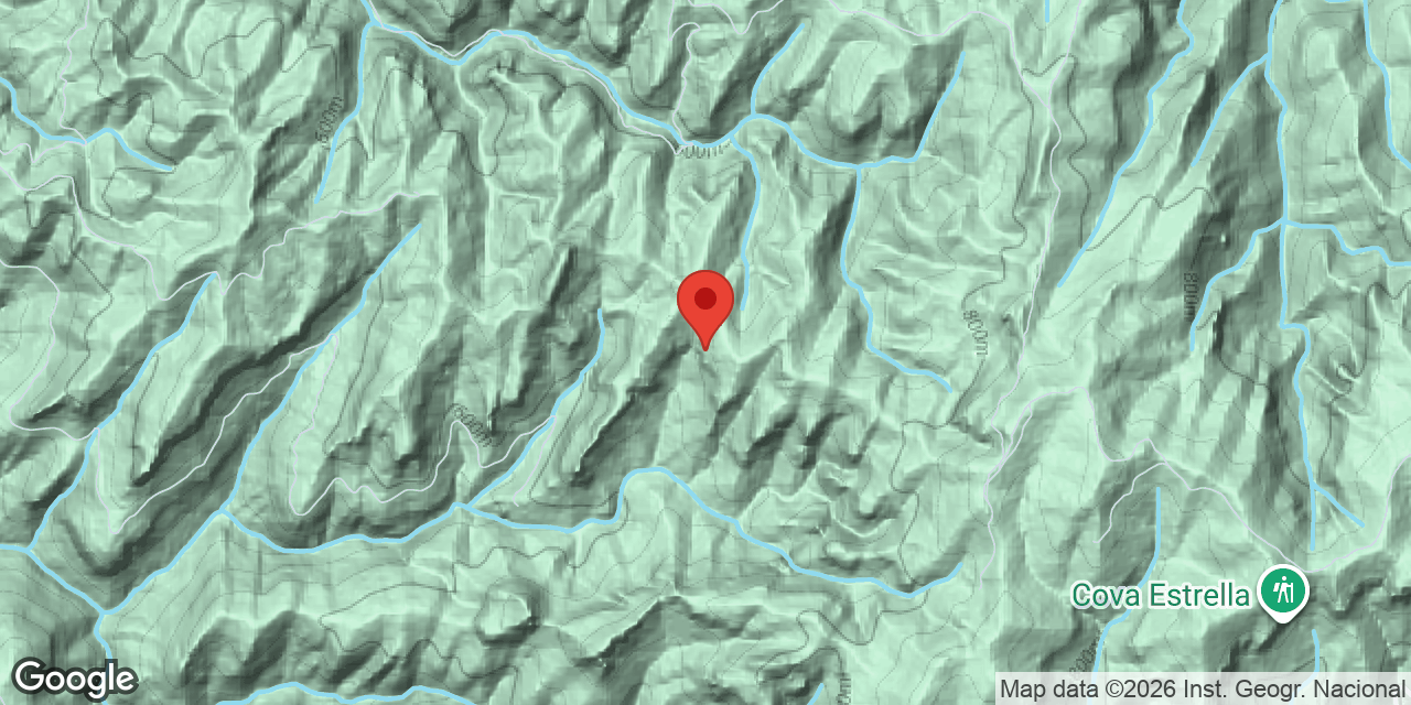 Mapa de situación de REBOLLEDA, COVA DE LA